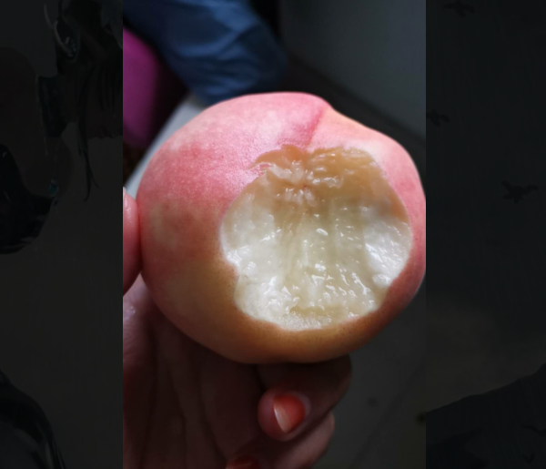 水蜜桃1.png 水蜜桃1.png