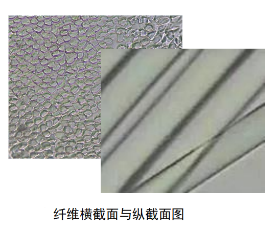 5.png 5.png